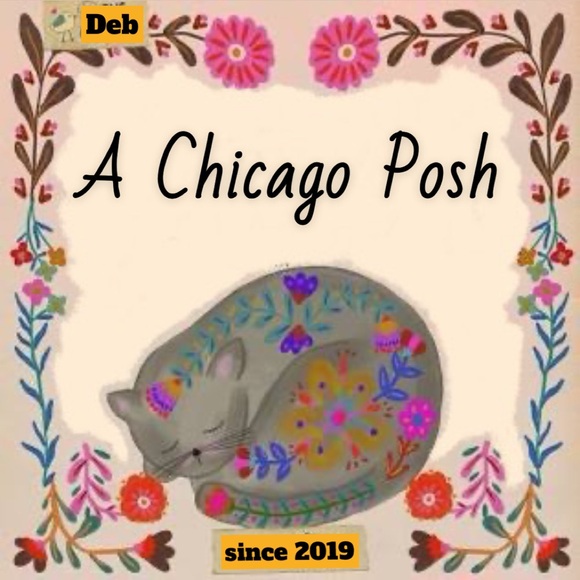 aChicagoPosh is LIVE! 🩵 - Picture 9 of 10